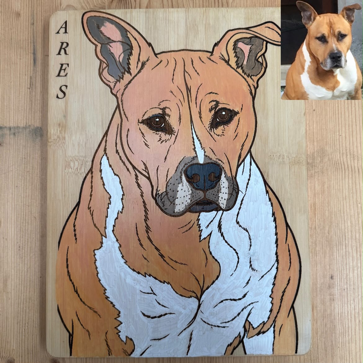 Quadro ritratto Animale