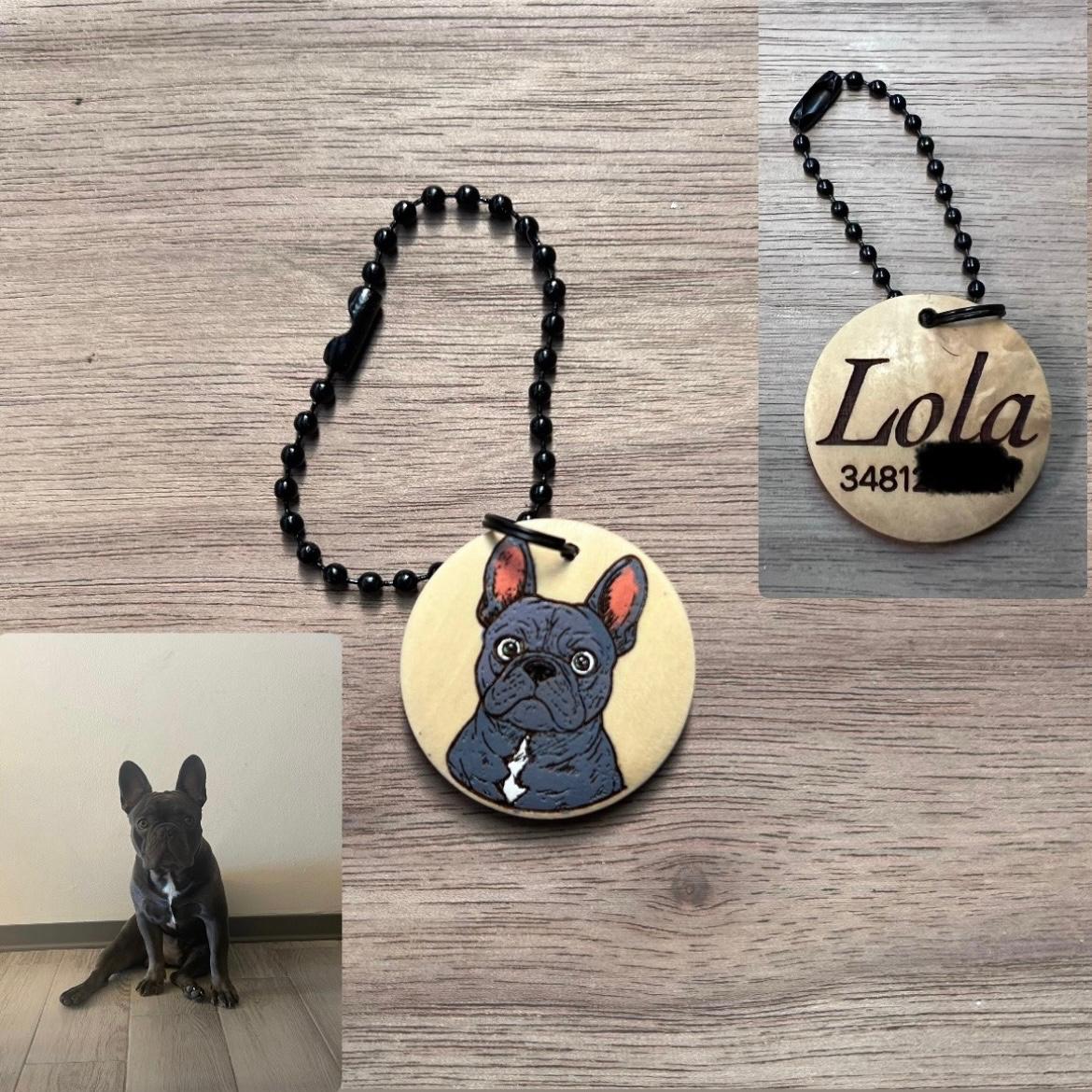 Medaglietta cane o gatto