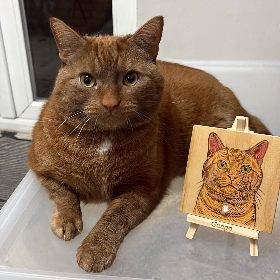 Quadretto cane o gatto